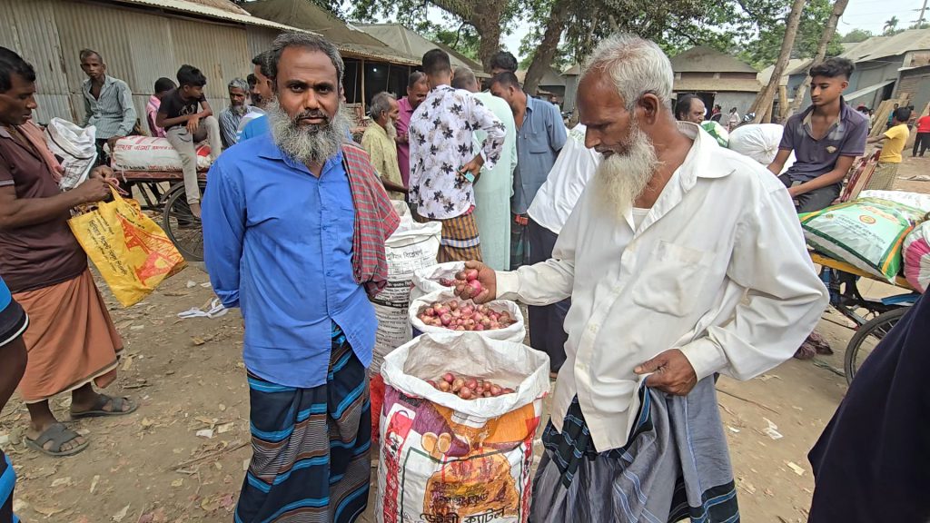 দাম কম থাকায় ফরিদপুরে লোকসানের শঙ্কায় পেঁয়াজ চাষীরা