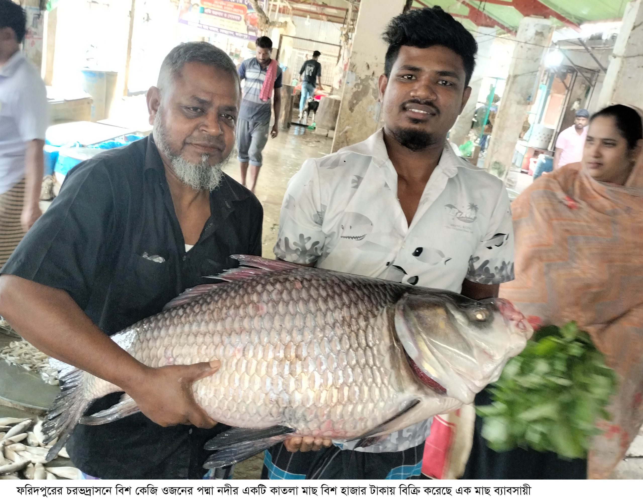 ফরিদপুরে পদ্মার বিশ কেজি ওজনের কাতলা মাছ বিশ হাজার টাকায় বিক্রি