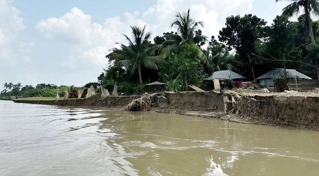 ফরিদপুরের হঠাৎ দেখা দিয়েছে নদী ভাঙন, আতঙ্কে মানুষ
