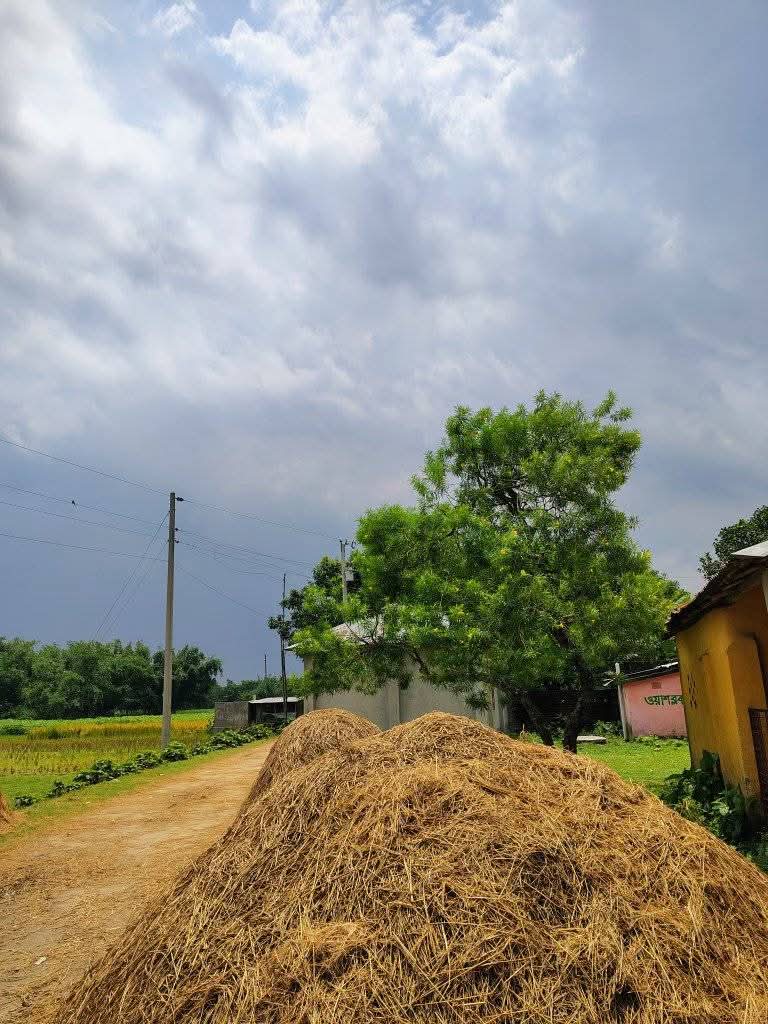 ‘তোমার অভাব’