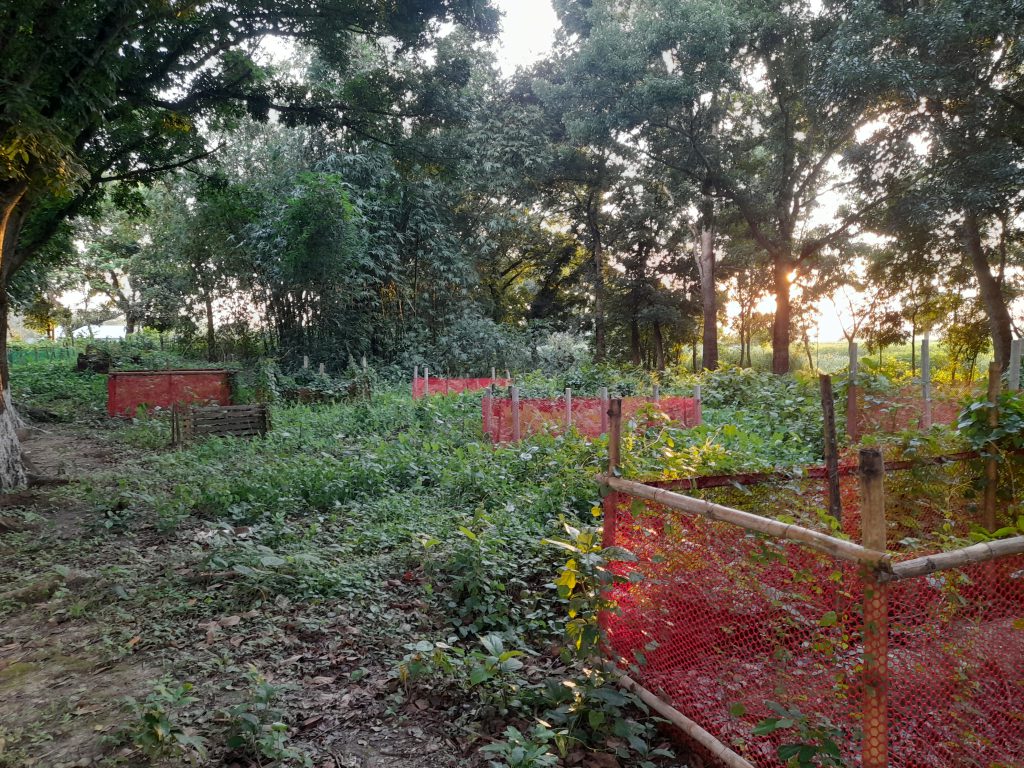 ‘মানুষের জীবনচক্র’