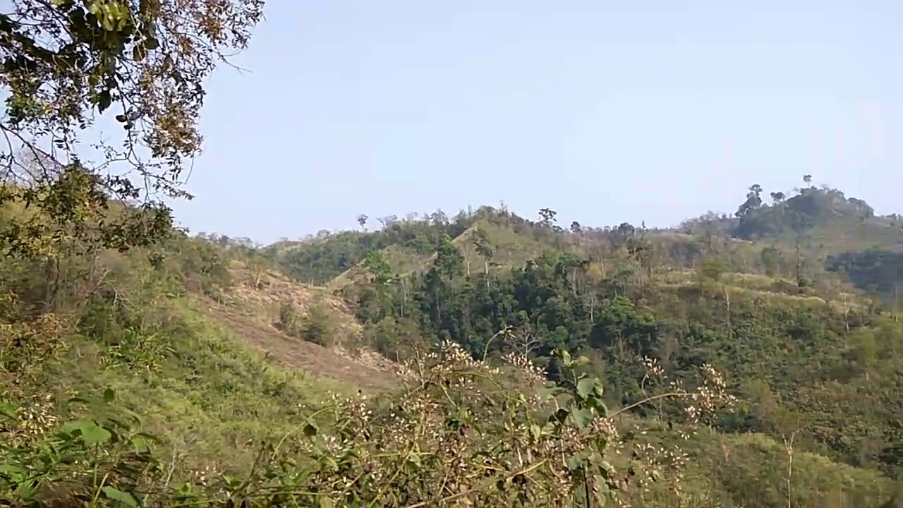 Faridpur Protidin