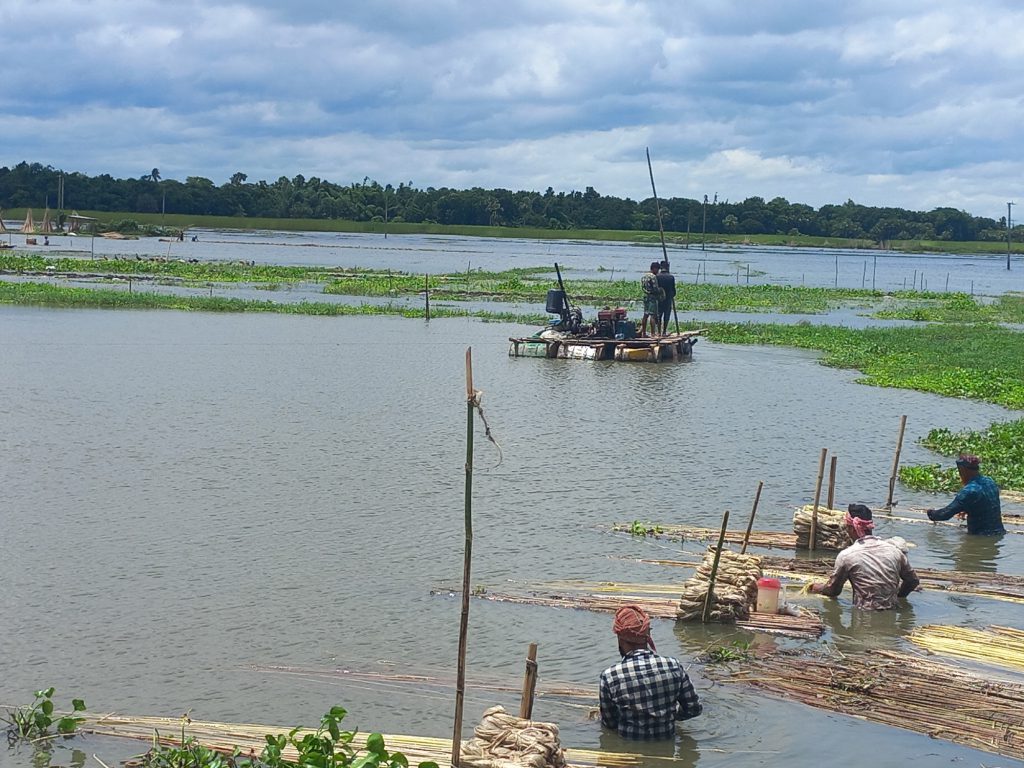 সালথায় অভিযানের পর নদ-নদী ছেড়ে তিন ফসলি জমিতে মাটিখেকোদের হানা 