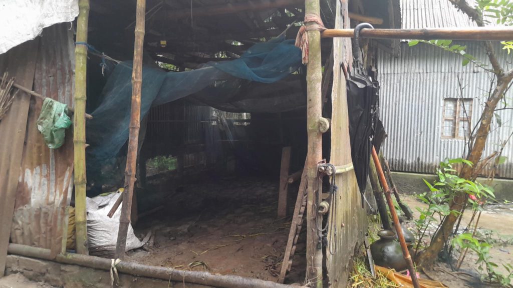 সালথায় গরু চুরির হিড়িক, সর্বস্বান্ত হচ্ছেন কৃষক ও খামারিরা