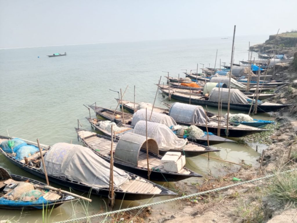 ভরা মৌসুমেও ইলিশ শূন্য ফরিদপুরের পদ্মা