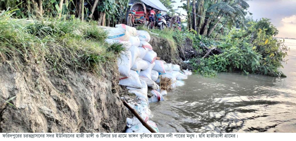 চরভদ্রাসনে পদ্মার ভাঙন ঝুঁকিতে নদীপাড়ের মানুষ