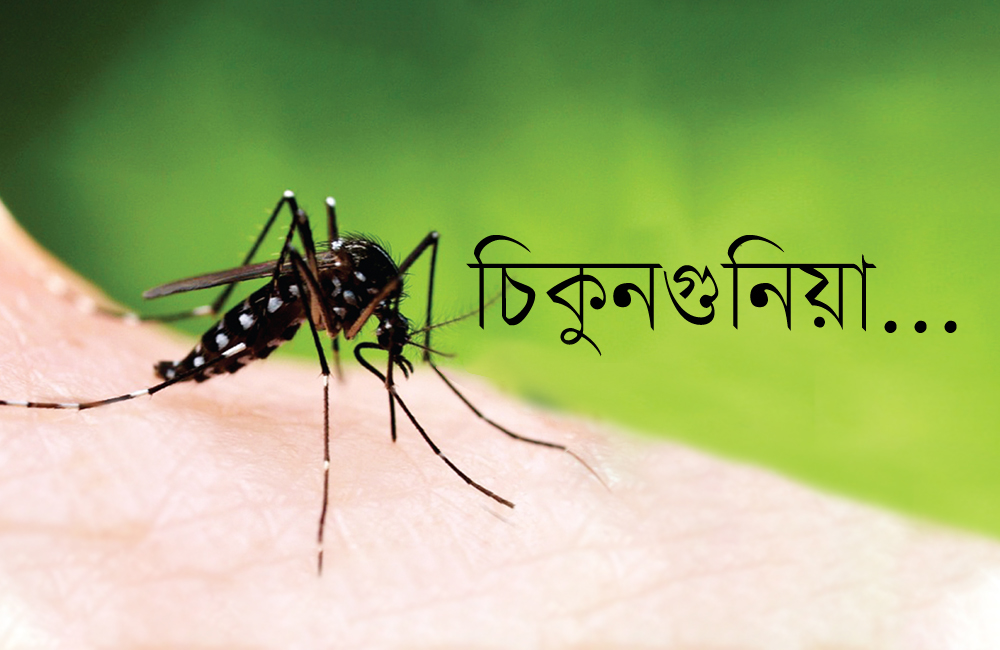 বাংলাদেশে চিকুনগুনিয়া নিয়ে যুক্তরাষ্ট্রের স্বাস্থ্য সতর্কতা