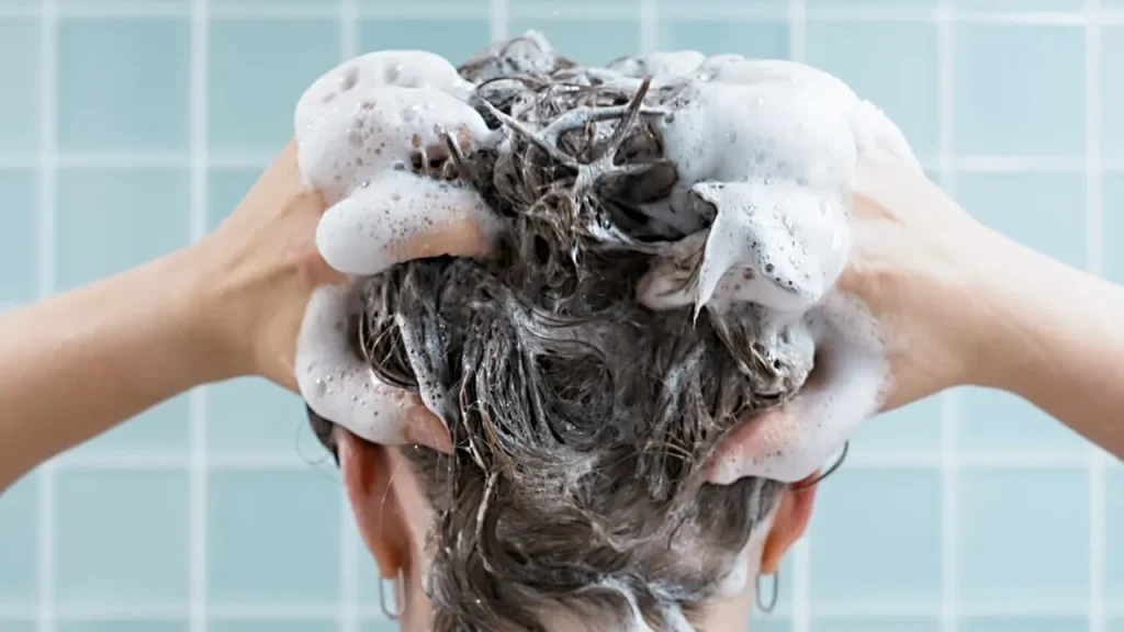 রোজ শ্যাম্পু করছেন? চুলের জন্য ভালো না ক্ষতিকর জেনে নিন