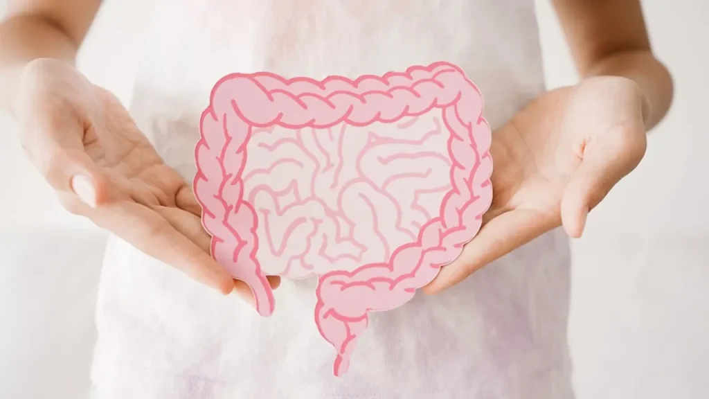 পেট ভালো থাকলে মনও ভালো – জানুন কেন এবং কীভাবে