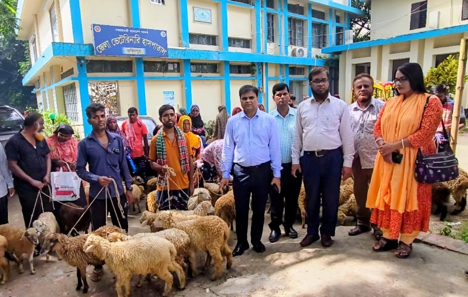 ফরিদপুরের চরাঞ্চলের মানুষের মধ্যে ভেড়া বিতরণ