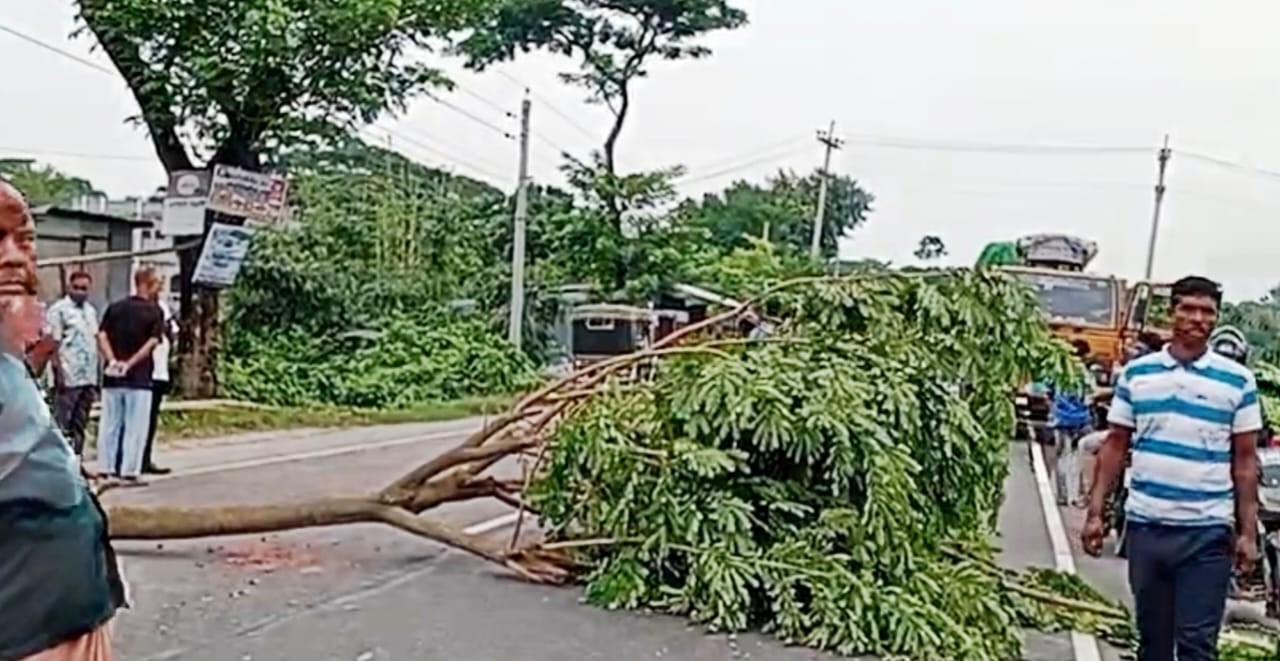 ফরিদপুরে মহাসড়কে গাছ ফেলে অবরোধ, দক্ষিণ-পশ্চিমাঞ্চলের যানবাহন বন্ধ