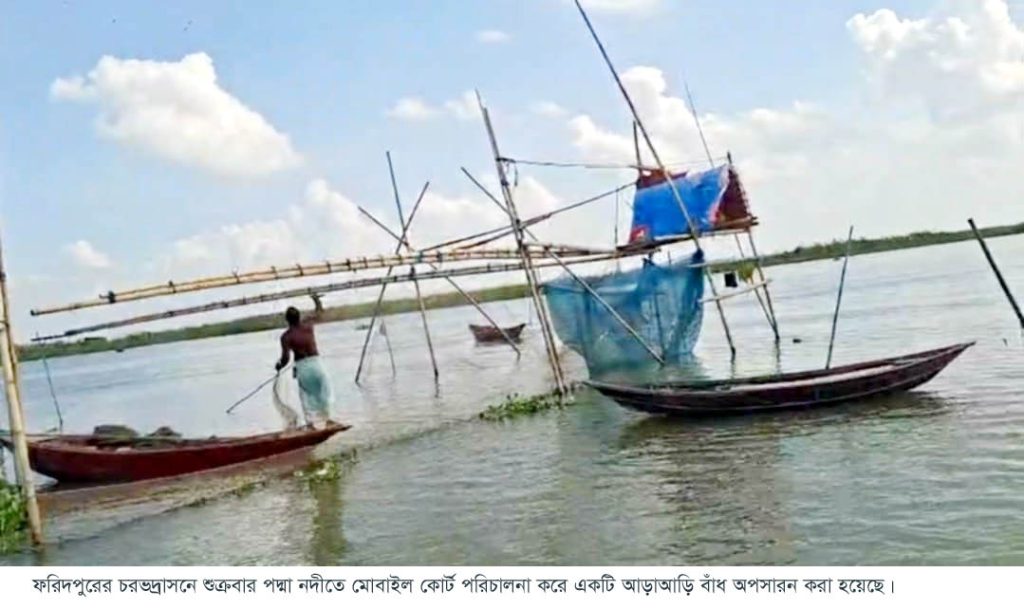 দেশীয় মাছ রক্ষায় চরভদ্রাসনের পদ্মা নদী থেকে আড়াআড়ি বাঁধ অপসারণ