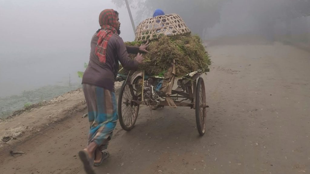 দেখা যায় না পথ, তবু থামে না পেটের দায়