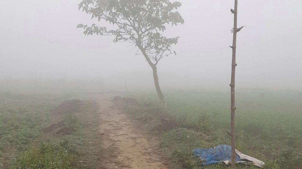 হঠাৎ ঘন কুয়াশায় ঢাকা পড়েছে ফরিদপুর