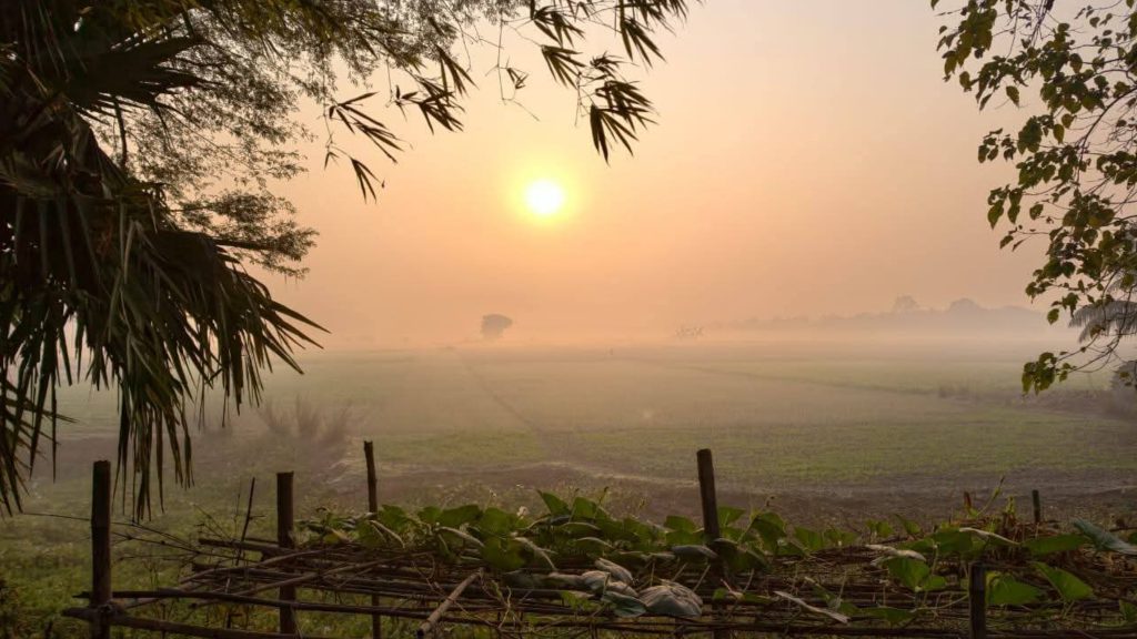 ভোর মানেই নতুন শুরু: প্রকৃতির কোলে প্রশান্ত সকালের গল্প
