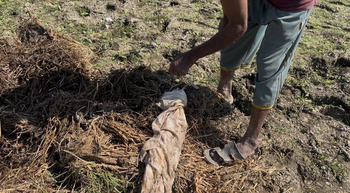 ফরিদপুরের ফসলি জমিতে মিলল কাফনের কাপড়ে মোড়ানো রহস্যময় বস্তু
