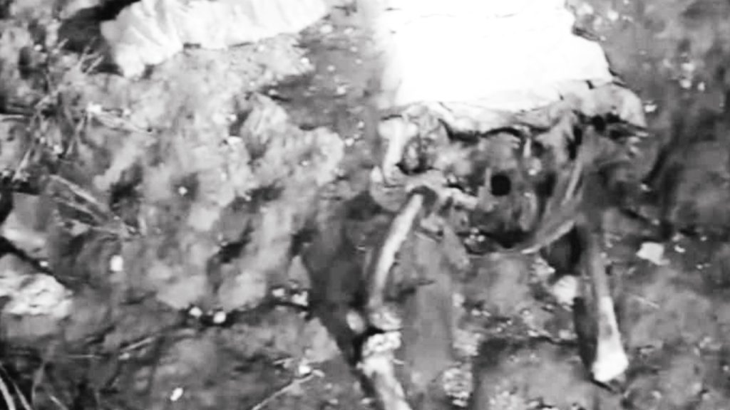 ফরিদপুরের ধানক্ষেতে পড়েছিল মানুষের কঙ্কাল, পদ্মার চরে রহস্য