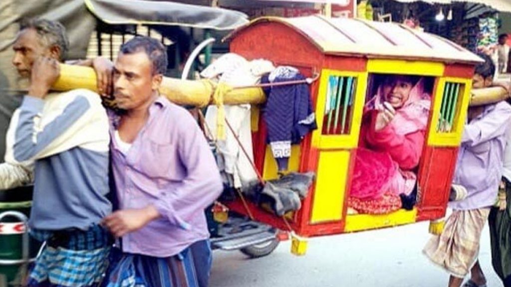 আধুনিকতার স্রোতে হারানো ঐতিহ্যের প্রত্যাবর্তন: চরভদ্রাসনে পালকিতে চড়ে নবদম্পতির বিয়ে