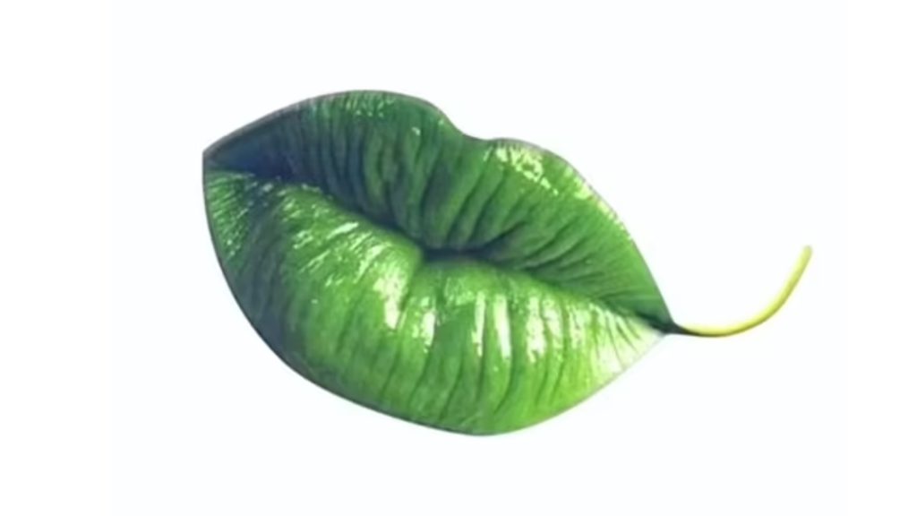 প্রথমে পাতা নাকি ঠোঁট? দেখেই বুঝে নিন আপনার মনের গোপন দিক