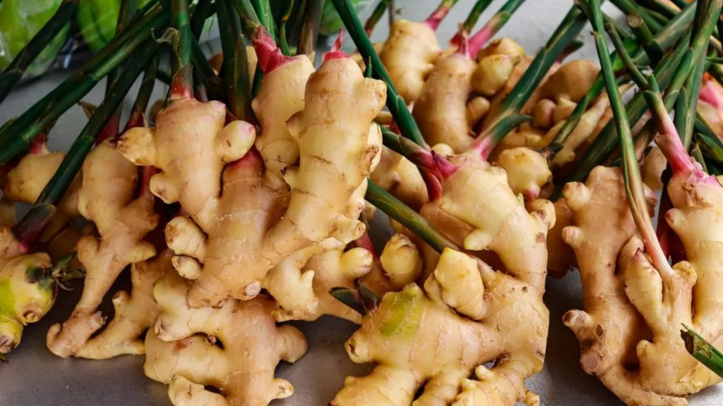 আদা কেন ঘরোয়া যত্নের সেরা উপাদান?