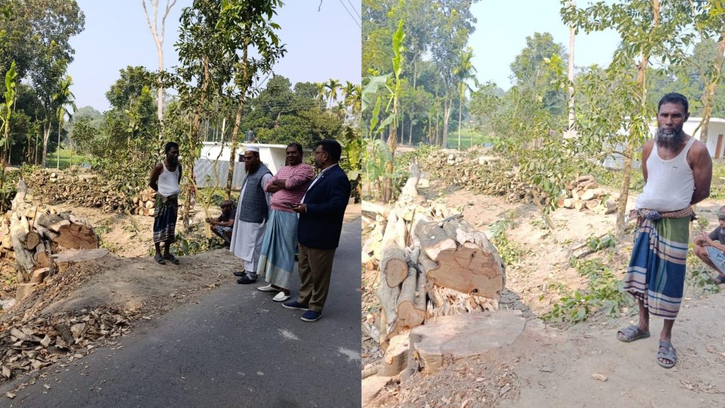 সদরপুরে সরকারি বটগাছ কেটে অভিযুক্ত পেলেন কারাদণ্ড ও জরিমানা