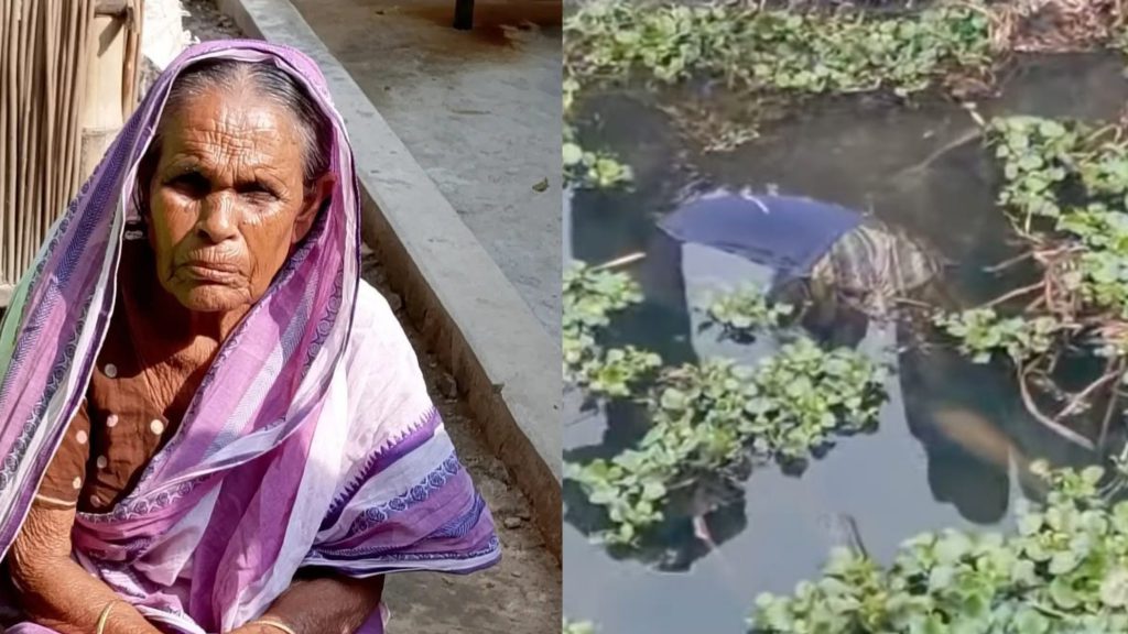 সালথায় নিখোঁজের পাঁচদিন পর ডোবা থেকে বৃদ্ধার লাশ উদ্ধার