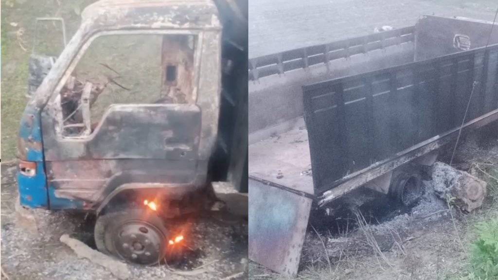 সালথায় গরু চুরি করতে এসে ধরা, ট্রাক ফেলে পালাল চোর—আগুনে পুড়ল গাড়ি