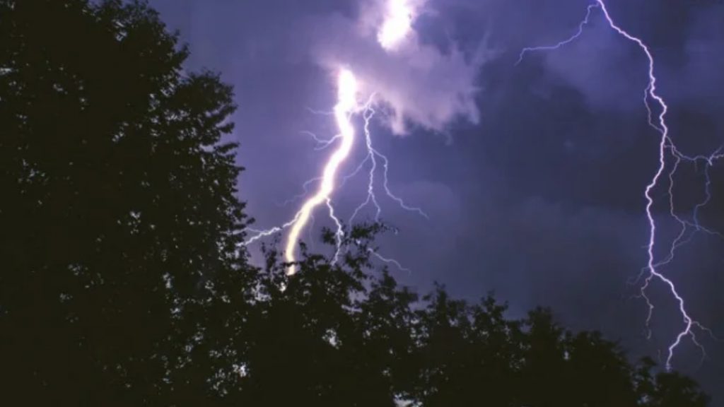 ফরিদপুরে মাঠে কাজ করতে গিয়ে বজ্রাঘাতে প্রাণ গেল বিএনপি নেতার