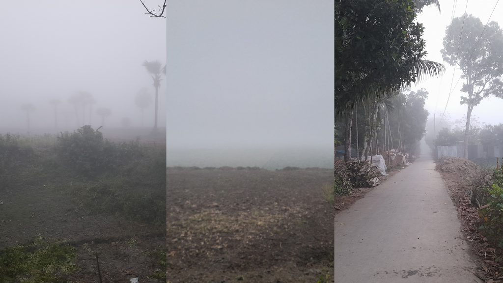 চৈত্রে শীতের আমেজ: ঘন কুয়াশায় ঢেকে গেল ফরিদপুর, বিপাকে পেঁয়াজ চাষিরা