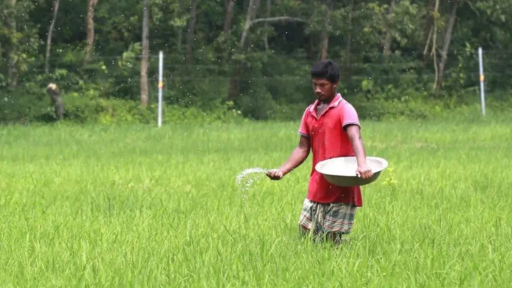 ইরান যুদ্ধের কারণে বাংলাদেশে সার সংকটের শঙ্কা কতটা?
