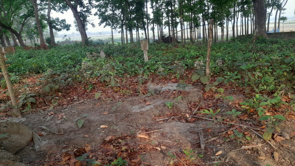 ‘গাঁয়ের কাসেম সরদারকে আজ ভুলে গেছে সবাই’