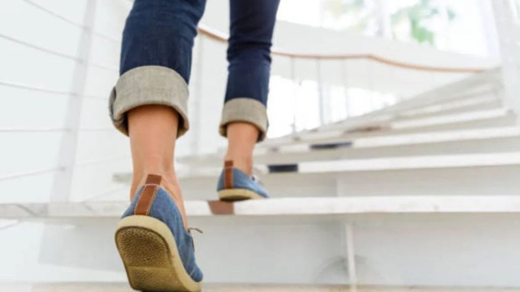 প্রতিদিন সিঁড়ি দিয়ে ওঠানামা করলে শরীরে কী পরিবর্তন হয়? জানুন উপকারিতা