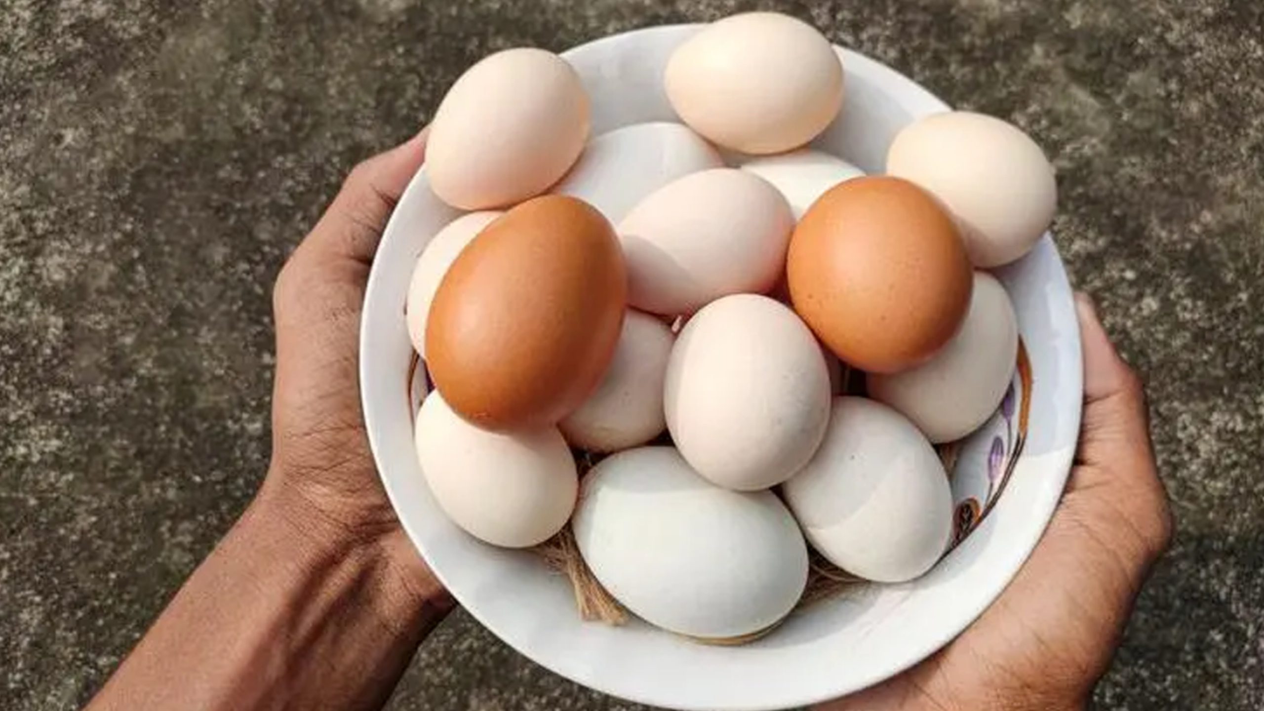 সাদা নাকি লাল, কোন ডিমে পুষ্টি বেশি? জেনে নিন