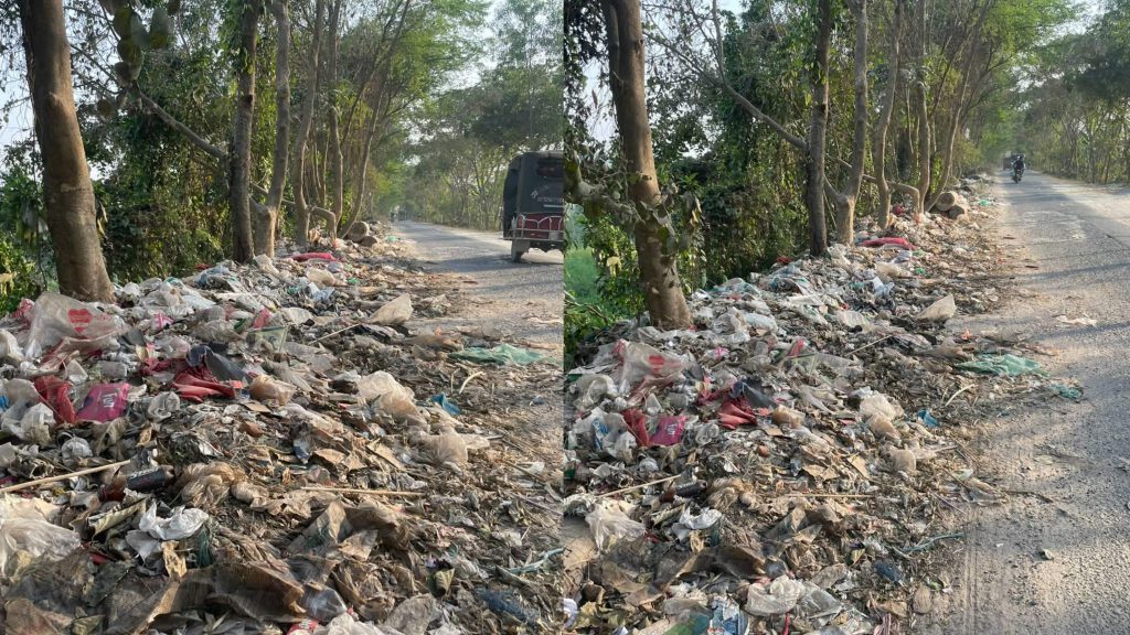 সবুজ বাইপাস সড়কটিতে এখন ময়লার ভাগাড়, বিপাকে সালথার মানুষ