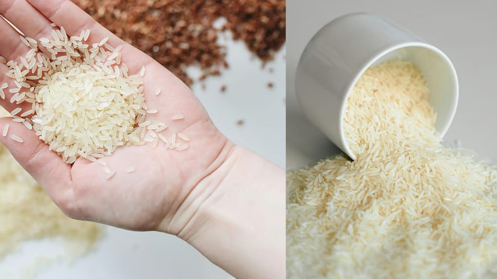 চিকন চাল ভালো নাকি মোটা চাল, যা বলছেন পুষ্টিবিদ