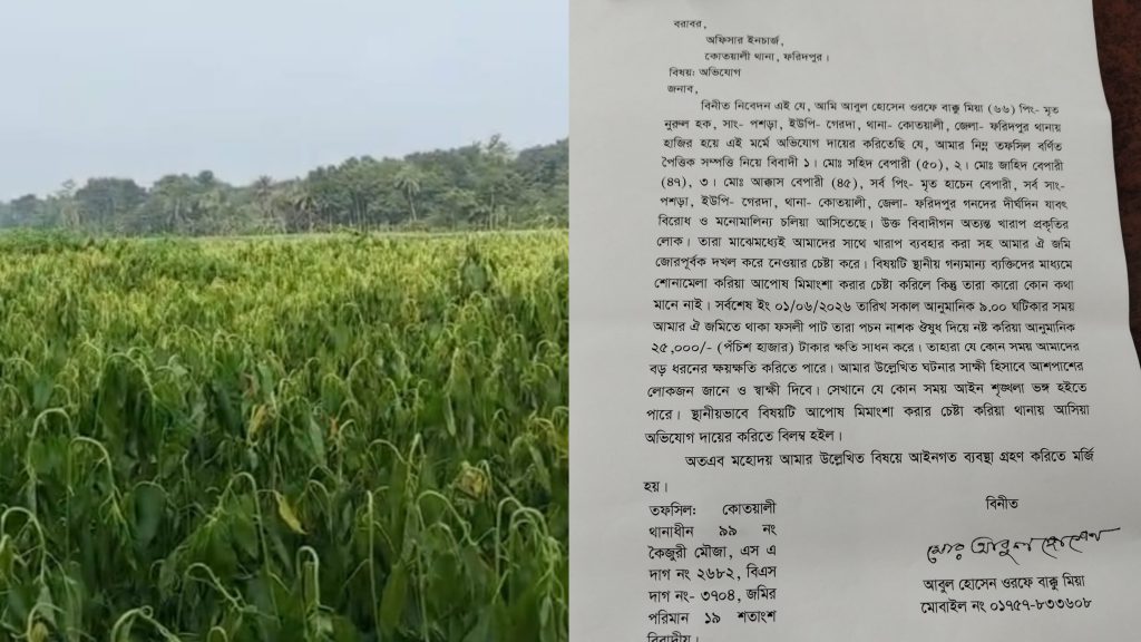 ফরিদপুরে কৃষকের পাটখেতে বিষ প্রয়োগের অভিযোগ