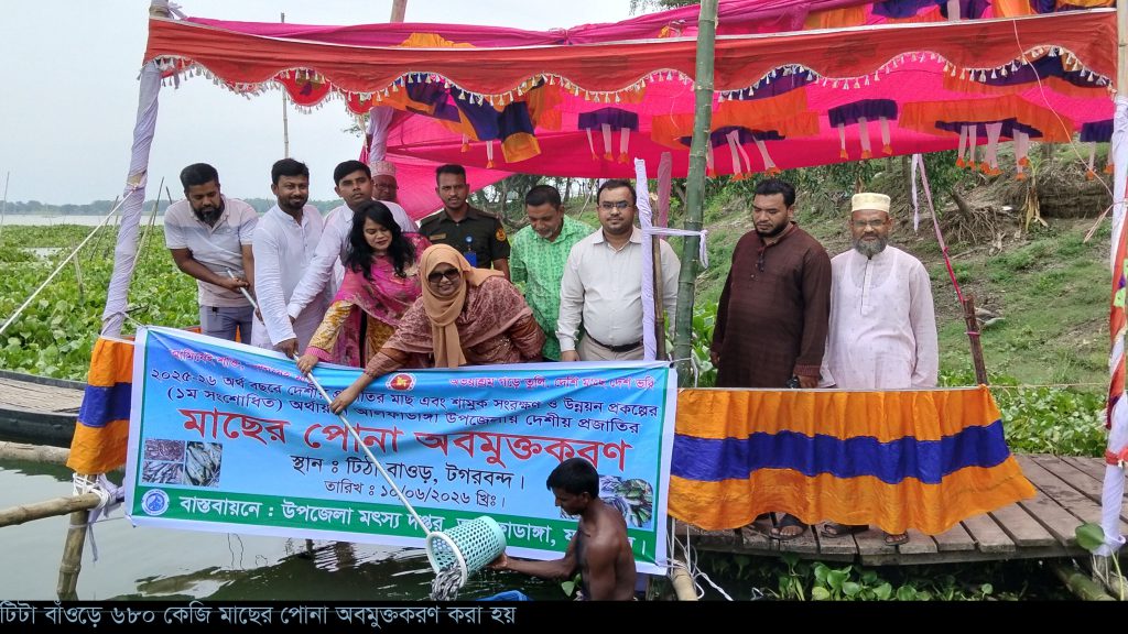 আলফাডাঙ্গায় টিটা বাঁওড়ে ৬৮০ কেজি মাছের পোনা অবমুক্ত, বাড়বে দেশীয় মাছের উৎপাদন