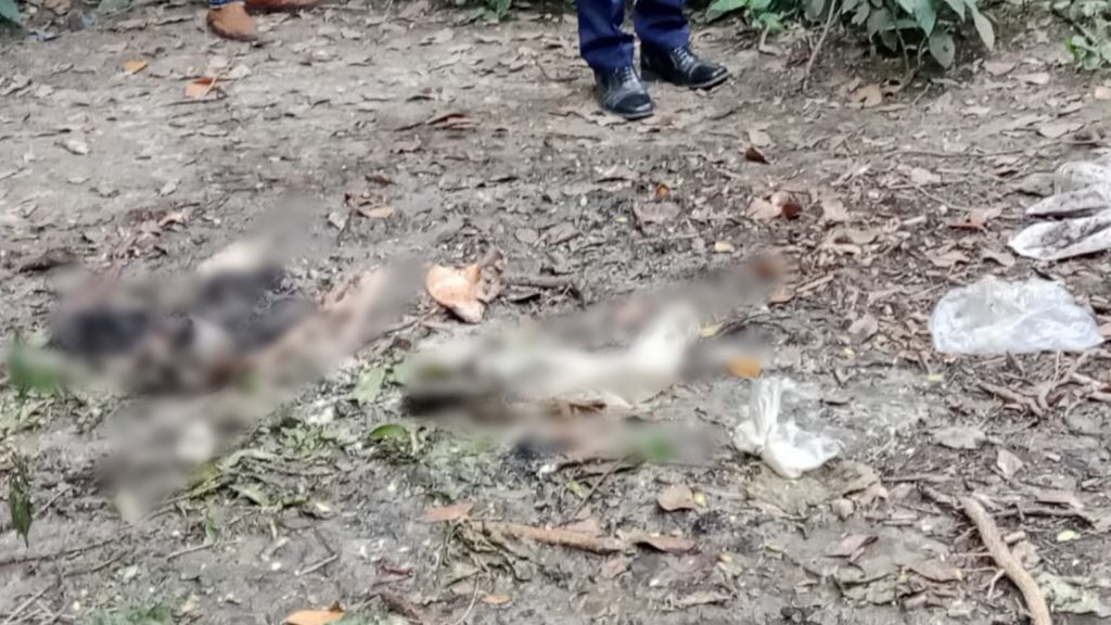 ফরিদপুরে বাথরুমের স্ল্যাবের নিচে মিলল নারীর বস্তাবন্দি কঙ্কাল