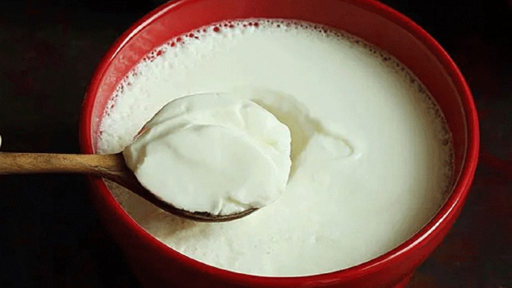 প্রতিদিন টক দই খেলে মিলতে পারে যে ১০ উপকার?