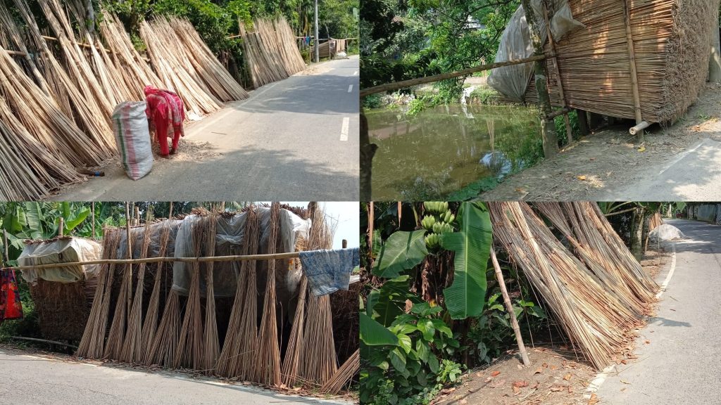 সালথায় পাটখড়িতে নতুন সম্ভাবনা, কৃষকের ঘরে বাড়তি আয়ের হাতছানি