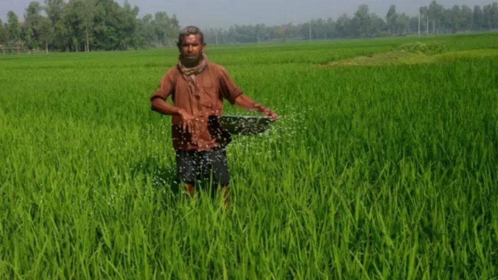 ডিজেলের দামে কৃষির খরচে আগুন, লোকসানের শঙ্কায় ফরিদপুরের কৃষক
